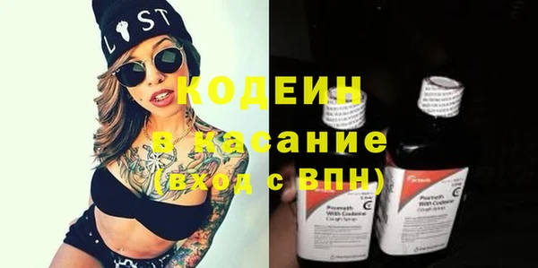 прущие грибы Аркадак