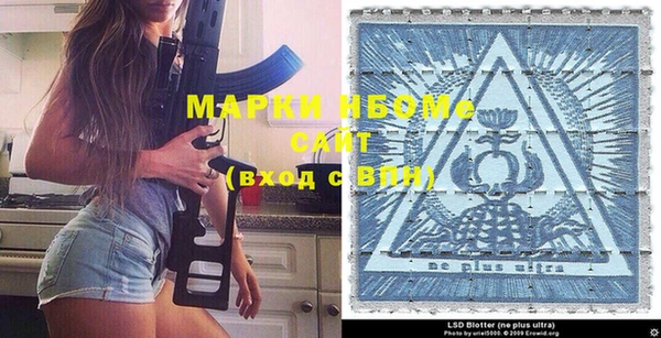 прущие грибы Аркадак
